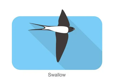 Swallow flat icon design, cartoon, vector illustration Stock Illustration