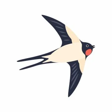 Swallow in flight. Vector illustration Isolated on white background. Stock Illustration