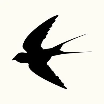 Swallow Stock Illustration
