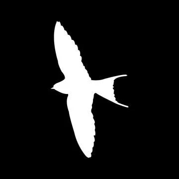 Swallow logo Stock Illustration