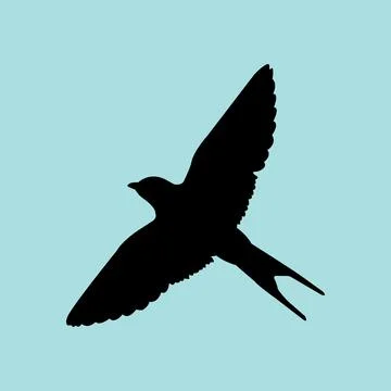 Swallow logo Stock Illustration