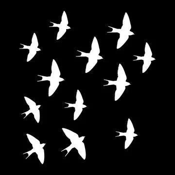 Swallow logo Stock Illustration