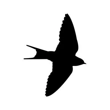 Swallow logo Stock Illustration