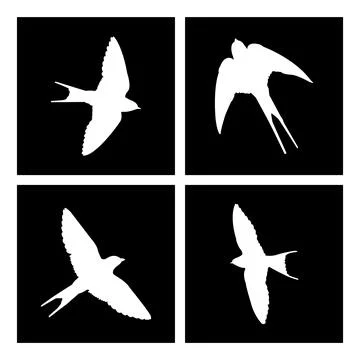 Swallow logo Stock Illustration