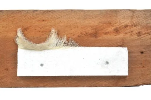 Swallow nest Stock Photos
