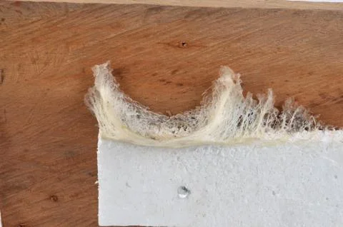 Swallow nest Stock Photos