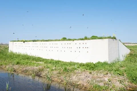 Swallow Nests Stock Photos