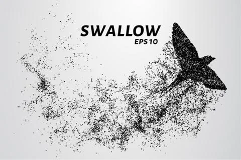 Swallow of the particles. Swallow consists of circles and points. Vector illu Stock Illustration