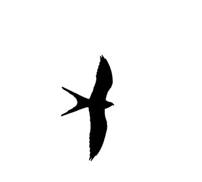 Swallow-tailed Stock Photos