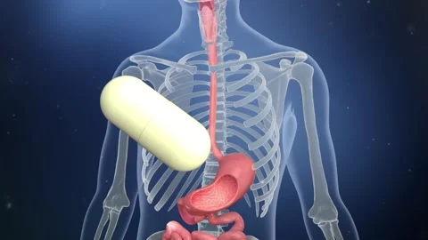 Swallowing a capsule, it travels down the esophagus to the stomach Stockbeeldmateriaal 345012143