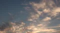 Swallows and beautiful clouds HD Footage