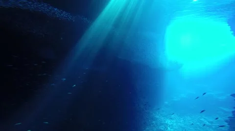 Swallows Cave Tonga Stock Footage 68104925