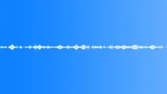 Swallows in the city 2Sound Effect
