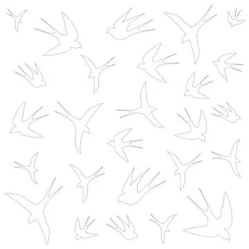 Swallows flight Stock Illustration