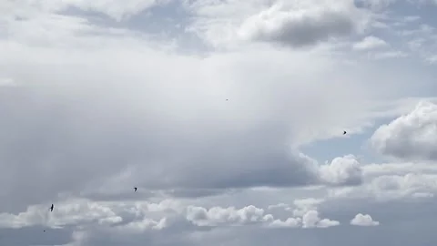 Swallows fly over the lake after the rain Stock Footage 147638176