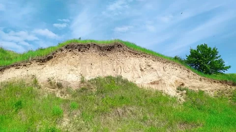 Swallows fly at their homes in the rock Video stock 132301653