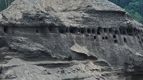Swallows fly to their nests in the rock. Slow motion video. Stock-Footage 303359306