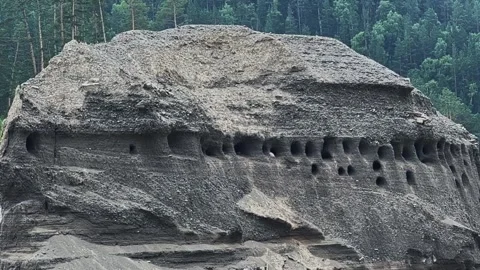 Swallows fly to their nests in the rock. 動画素材 311406003