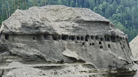 Swallows fly to their nests in the rock. Slow motion video. 動画素材 317501506