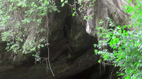 Swallows flying in and out of Tham Loed cave entrance Stock Footage 24255780