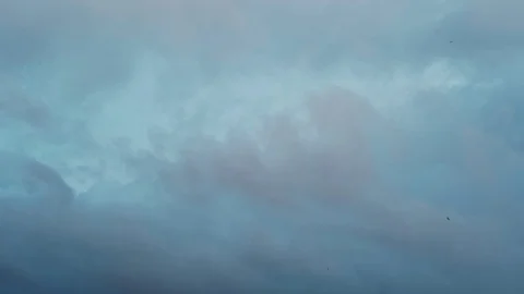 Swallows flying with clouds and blue sky in the background Stock Footage 129814710