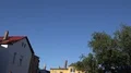 Swallows flying at early morning in city backyard around tree 4k or 4k+ Resolution