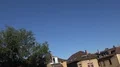 Swallows flying at early morning in city backyard around tree 4k or 4k+ Resolution