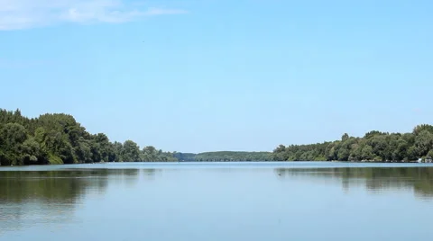 Swallows flying over the river Stockbeeldmateriaal 43561833