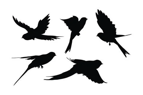 Swallows flying silhouette bundle design. Wild Swallows vector design on a .. Stock Illustration