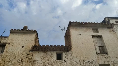 Swallows 库存影片 135176442