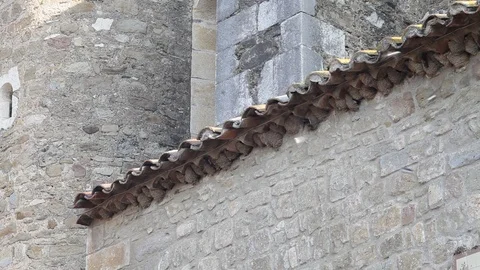 Swallows nests Stock Footage 91964063