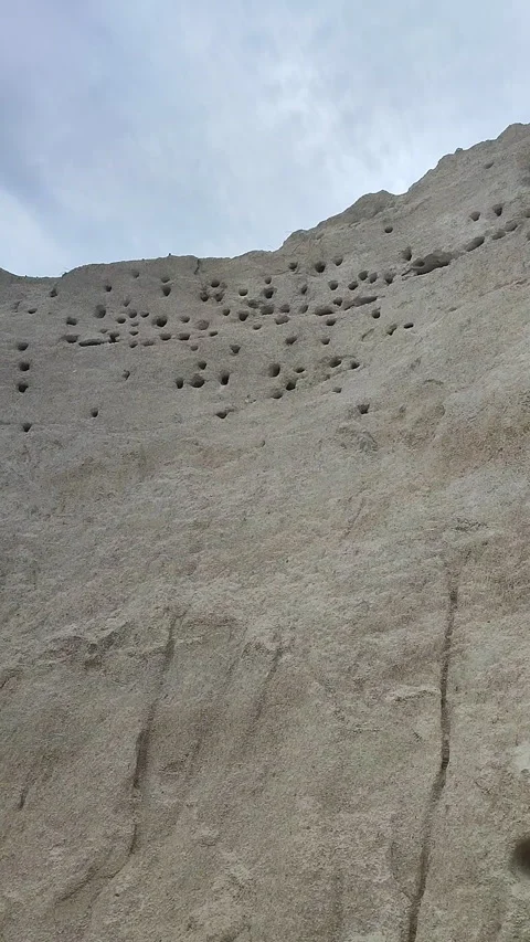 Swallows nests in sand mountain Many holes in sand nests birds swallows Vertical 库存影片 295144191