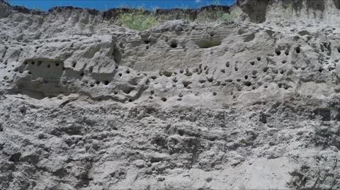 Swallows' nests on sandy cliff. Stock Footage 64739827
