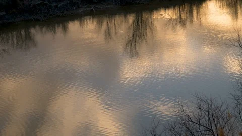 Swallows skimming the river surface Stock Footage 106738629