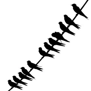 Swallows on a wire silhouette Stock Illustration