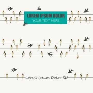 Swallows on wires graphic template set.  With place for text. Stock Illustration