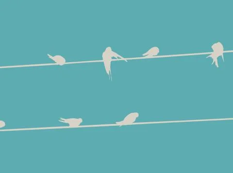 Swallows on Wires   - Vector Illustration Stock Illustration