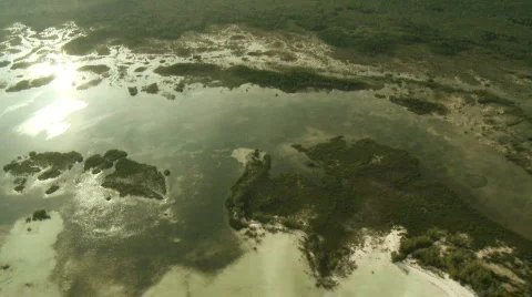 Swamp Aerial 2 Stock Footage 518813