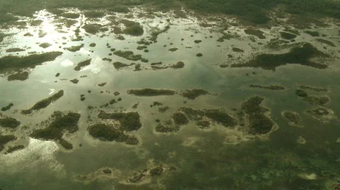 Swamp Aerial  Stock Footage 518844