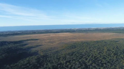 Swamp, Aerial Hyperlapse Stock Footage 88190843