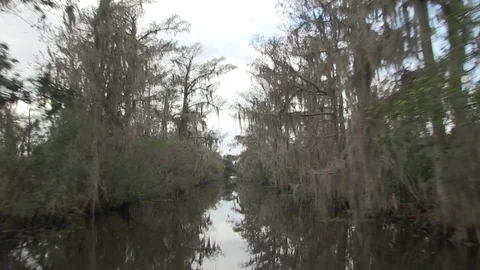 Swamp ahead very fast 2 Stock Footage 88292069