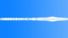 Swamp ambience 01Sound Effect