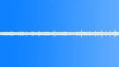 Swamp ambience day 02 loop Sound Effect