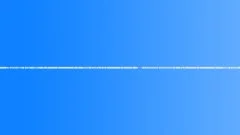 Swamp ambience morning 02 loop Sound Effect