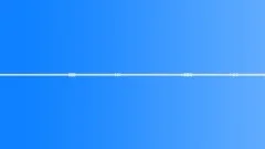 Swamp ambience morning 04 loop Sound Effect