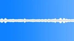 Swamp ambience night 01 loopSound Effect
