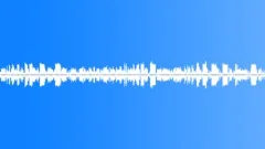 Swamp ambience night 02 loop Sound Effect
