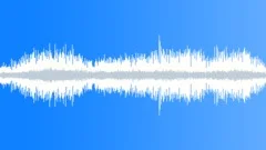 Swamp Ambience Sound Effect
