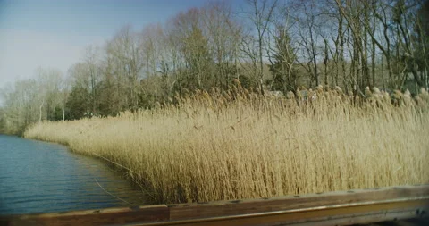 Swamp And Marsh During Winter Time In Branford, Connecticut Stock Footage 151196887