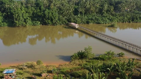 Swamp area Stock Footage 102609045